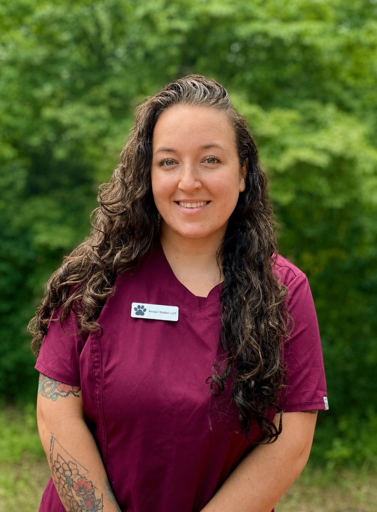 Amber , LVT, Licensed Veterinary Technician